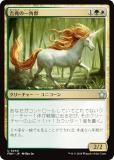 ޥå㥶 FDN JP 0240 ΰѽ (ܸ 󥳥) եǡ (MTG)