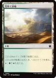 ޥå㥶 FDN JP 0260 ֺ餯 (ܸ ) եǡ (MTG)
