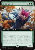 ڳĥǡۥޥå㥶 FDN JP 0473 ˱ (ܸ å쥢) եǡ (MTG)