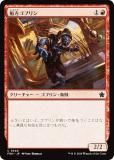 ޥå㥶 FDN JP 0548 ֥ (ܸ ) եǡ (MTG)