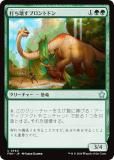ޥå㥶 FDN JP 0560 Ǥ֥ȥɥ (ܸ 󥳥) եǡ (MTG)