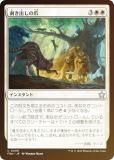 FOILۥޥå㥶 FDN JP 0006 Ф (ܸ 󥳥) եǡ (MTG)