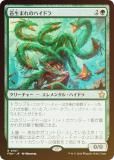 FOILۥޥå㥶 FDN JP 0107 ޤΥϥɥ (ܸ 쥢) եǡ (MTG)