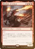 FOILۥޥå㥶 FDN JP 0193 ɥ饯 (ܸ 쥢) եǡ (MTG)