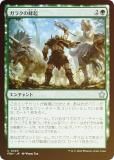 FOILۥޥå㥶 FDN JP 0220 饯˪ (ܸ 󥳥) եǡ (MTG)
