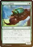 FOILۥޥå㥶 FDN JP 0229 ͥγѹ (ܸ 󥳥) եǡ (MTG)