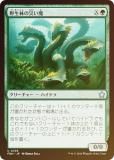 FOILۥޥå㥶 FDN JP 0236 ӤκҤ (ܸ 󥳥) եǡ (MTG)