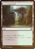 FOILۥޥå㥶 FDN JP 0263 󥰥Τ (ܸ ) եǡ (MTG)