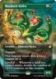 ڥޥʡFOILۥޥå㥶 FDN EN 0399 ޤΥϥɥ (Ѹ 쥢) եǡ (MTG)