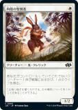 ޥå㥶 J25 JP 0005 Φ̼ (ܸ ) եǡ ץ (MTG)