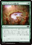 ޥå㥶 J25 JP 0148 륬奢£ʪ (ܸ ) եǡ ץ (MTG)