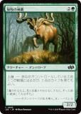 ޥå㥶 J25 JP 0665 ҤӼ (ܸ ) եǡ ץ (MTG)
