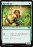 ޥå㥶 J25 JP 0706 ̵Ťѻ (ܸ ) եǡ ץ (MTG)