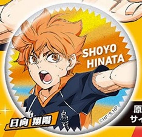 日向翔陽】ハイキュー!! ラメグリッター缶バッジ - トレカ&ホビーの