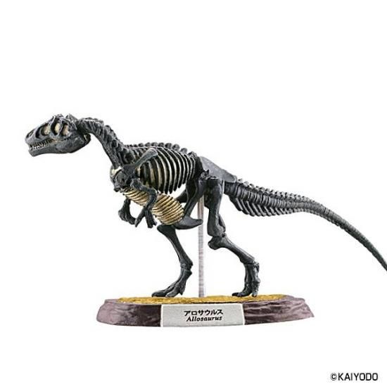 3.アロサウルス骨格 化石カラー】恐竜マスター5 - トレカ&ホビー