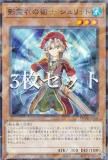 3祻åȡͷ TW02-JP076 νѻ å (ܸ Ρޥѥ) ߥʥ롦 2