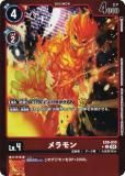 ڥѥۥǥ󥫡ɥ EX8-010  (C ) ȥ֡ CHAIN OF LIBERATION (EX-08)