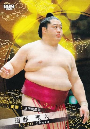 BBM 2025 大相撲カード レギュラーカード 全90種 コンプリートセット ベースボール・マガジン社 BBM＠BOOK CART