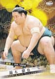 カルビー大相撲カード 20枚 昭和 マニア BBM 2025 大相撲カード 20 錦木 徹也 前頭 (レギュラーカード