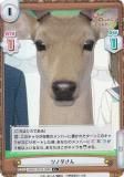 ڥѥReС SKNK/001B-096S ĥΥ (C ) ֡ѥå TV˥ ΤΤΤ󤿤