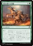 ޥå㥶 INR JP 0192 ۤƮ (ܸ ) ˥ȥ顼ɡޥ (MTG)