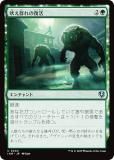 ޥå㥶 INR JP 0204 ʤ (ܸ 󥳥) ˥ȥ顼ɡޥ (MTG)