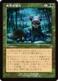ڵǡۥޥå㥶 INR JP 0410 ۳οʲ (ܸ 쥢) ˥ȥ顼ɡޥ (MTG)