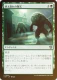 FOILۥޥå㥶 INR JP 0204 ʤ (ܸ 󥳥) ˥ȥ顼ɡޥ (MTG)