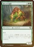FOILۥޥå㥶 INR JP 0211 μ (ܸ 󥳥) ˥ȥ顼ɡޥ (MTG)
