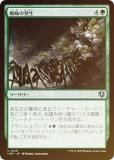 FOILۥޥå㥶 INR JP 0216 ȯ (ܸ 󥳥) ˥ȥ顼ɡޥ (MTG)