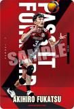 1-03 Ű (Ρޥ) JAPAN NATIONAL VOLLEYBALL TEAM ĥ󥦥ϡ