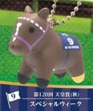 ڥڥ륦ۥѡ֥åɥ꡼ ե奢ޥå Vol.17