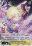  LHS/W122-013S PASSION!!!!!! ɴ  (SR ѡ쥢)