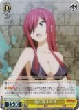  FT/S120-011S εγ 륶 (SR ѡ쥢) ֡ѥå FAIRY TAIL 100ǯ