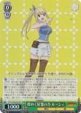  FT/S120-027S ᤯ 롼 (SR ѡ쥢) ֡ѥå FAIRY TAIL 100ǯ