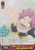  FT/S120-066S Ϥ㤮 ʥ (SR ѡ쥢) ֡ѥå FAIRY TAIL 100ǯ