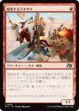 ޥå㥶 DFT JP 0138 άå륢 (ܸ 󥳥)  (MTG)