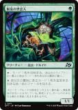 ޥå㥶 DFT JP 0171 æÿ (ܸ 󥳥)  (MTG)