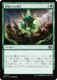 ޥå㥶 DFT JP 0178 ĳκ (ܸ 󥳥)  (MTG)
