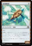 ޥå㥶 DFT JP 0243  (ܸ )  (MTG)