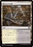 ޥå㥶 DFT JP 0263 ᤫ줿䤻 (ܸ )  (MTG)