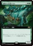 ڳĥǡۥޥå㥶 DFT JP 0389 Ҹ̡ȥ (ܸ 쥢)  (MTG)