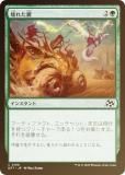 FOILۥޥå㥶 DFT JP 0156 줿 (ܸ )  (MTG)