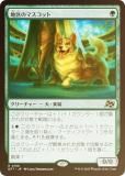 FOILۥޥå㥶 DFT JP 0158 ϶Υޥå (ܸ 쥢)  (MTG)