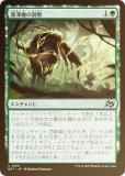 FOILۥޥå㥶 DFT JP 0159 ޴صƶ (ܸ 󥳥)  (MTG)