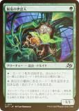 FOILۥޥå㥶 DFT JP 0171 æÿ (ܸ 󥳥)  (MTG)