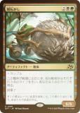 FOILۥޥå㥶 DFT JP 0199 ž (ܸ 쥢)  (MTG)
