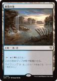 ޥå㥶 DRC JP 0156 ۽ (ܸ 쥢)  Ψ (MTG)
