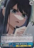  OSK/S121-095S ͻ  (SR ѡ쥢) ֡ѥå ڿ䤷λҡVol.2