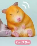 ڥϥॹ۸Fig. ˥ޥ륺